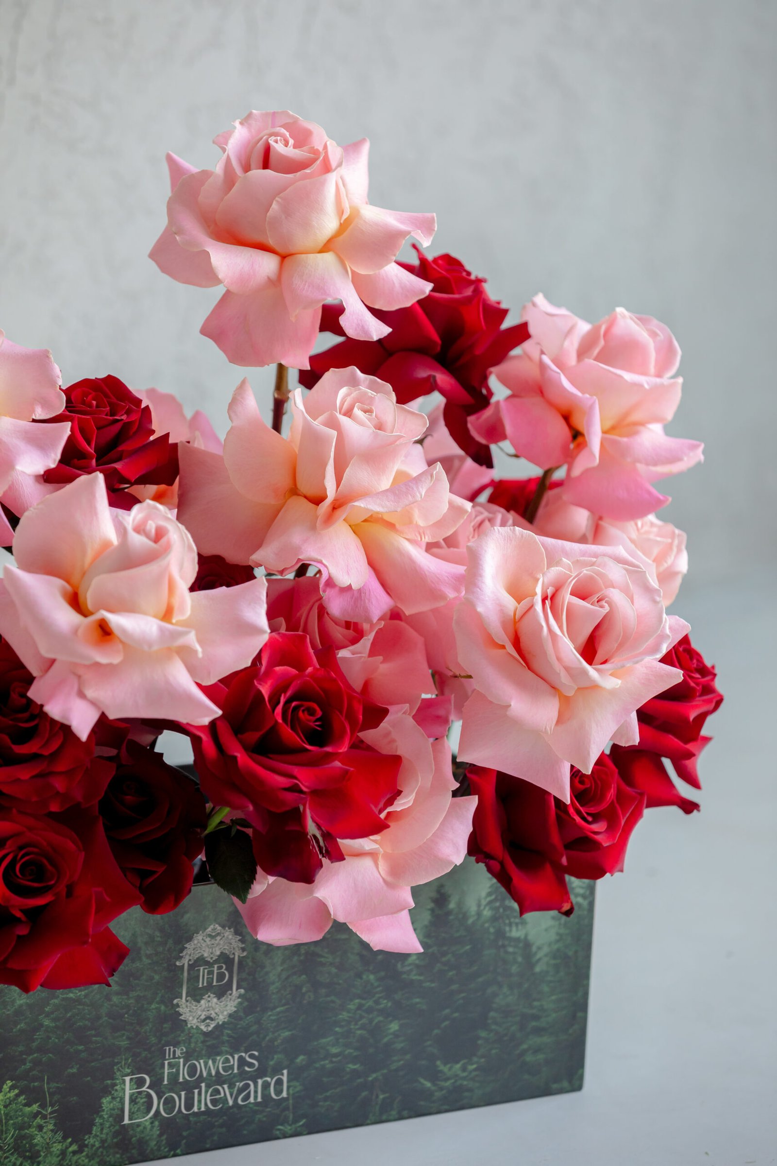 Romance And Elegance