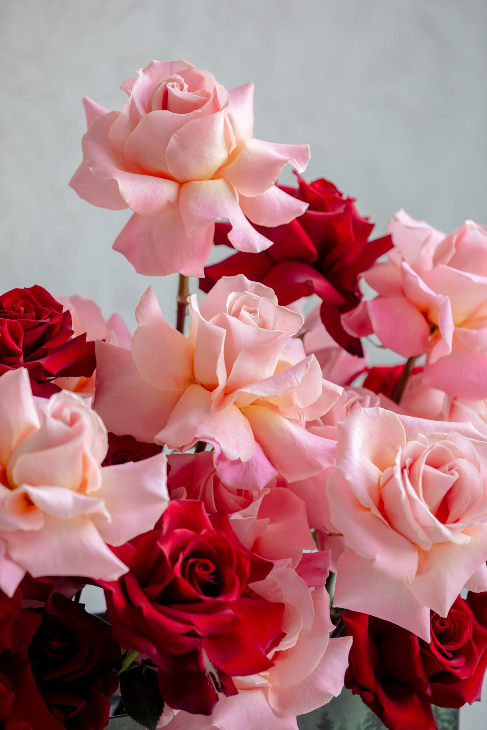 Romance And Elegance