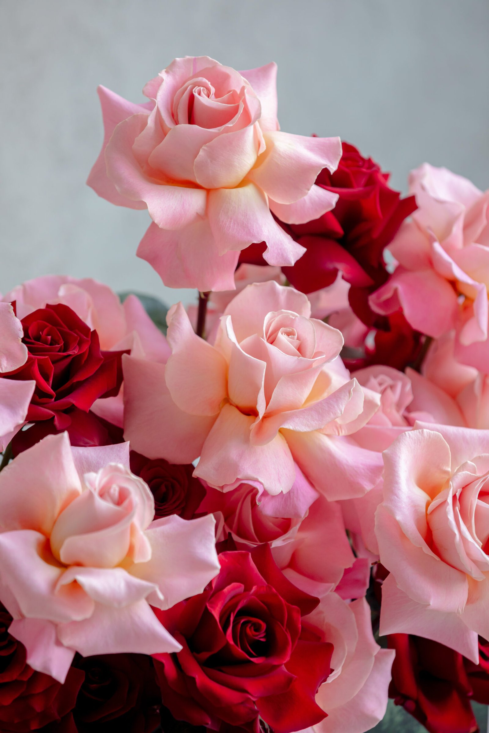 Romance And Elegance