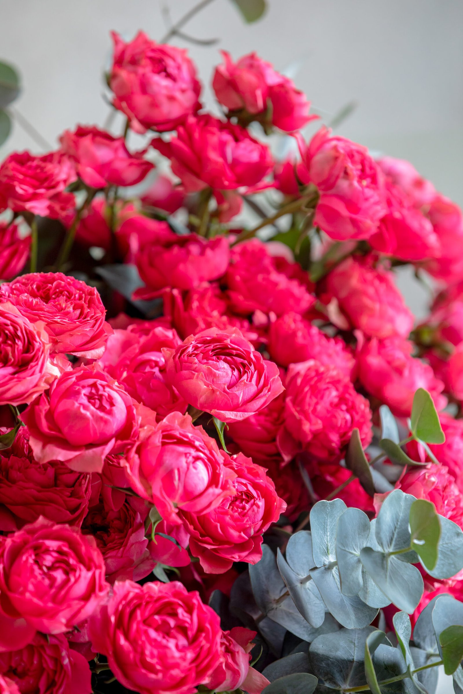 Breathtaking Spray Rose